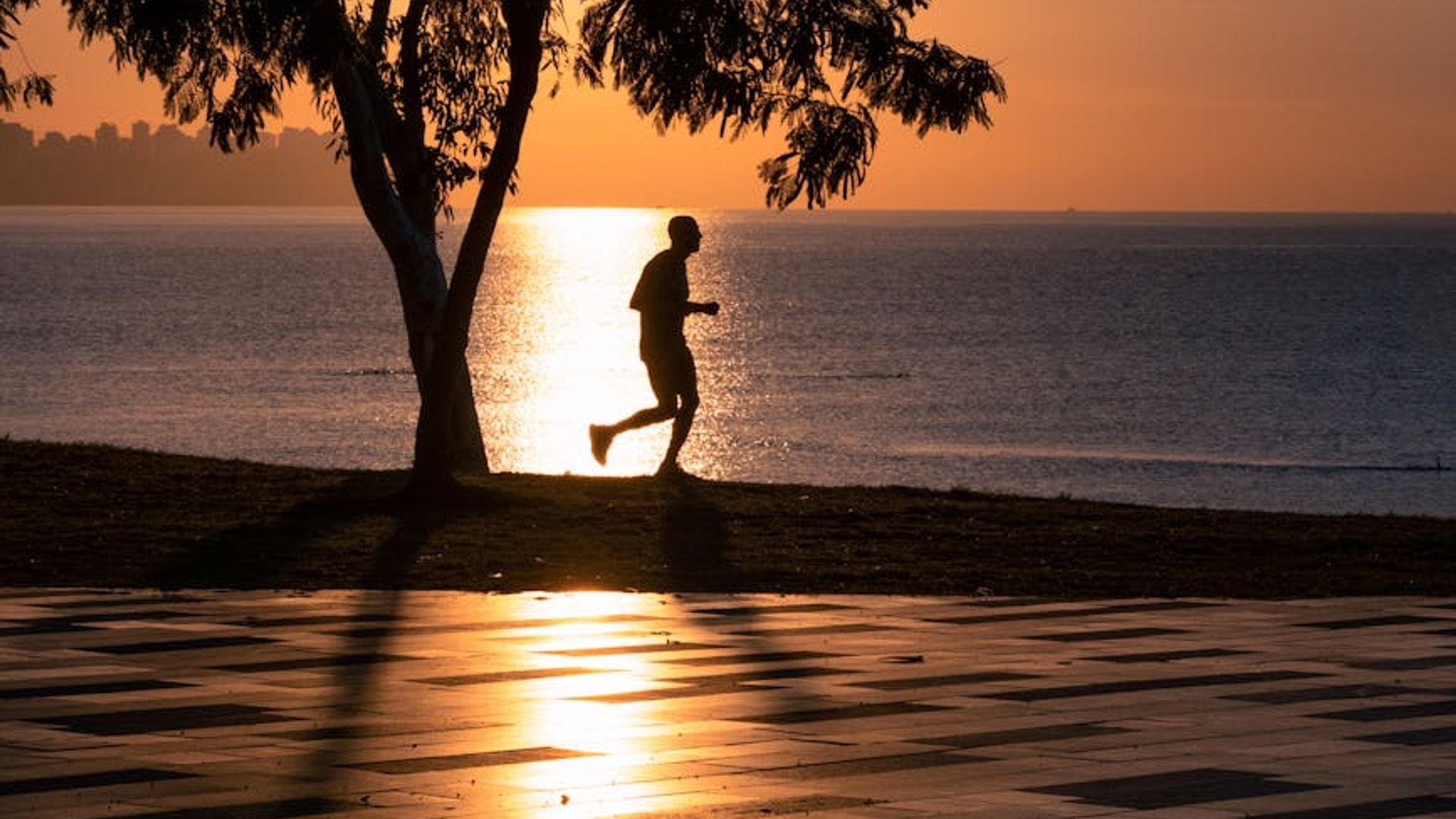 Athletic person running on a scenic path at sunrise